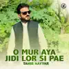 Tahir Nayyar - O Mur Aya Jidi Lor Si Pae - Single